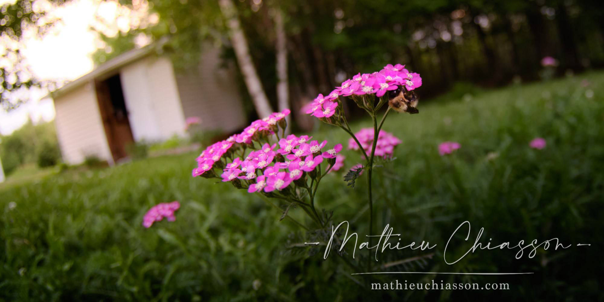 Photo by Mathieu Chiasson